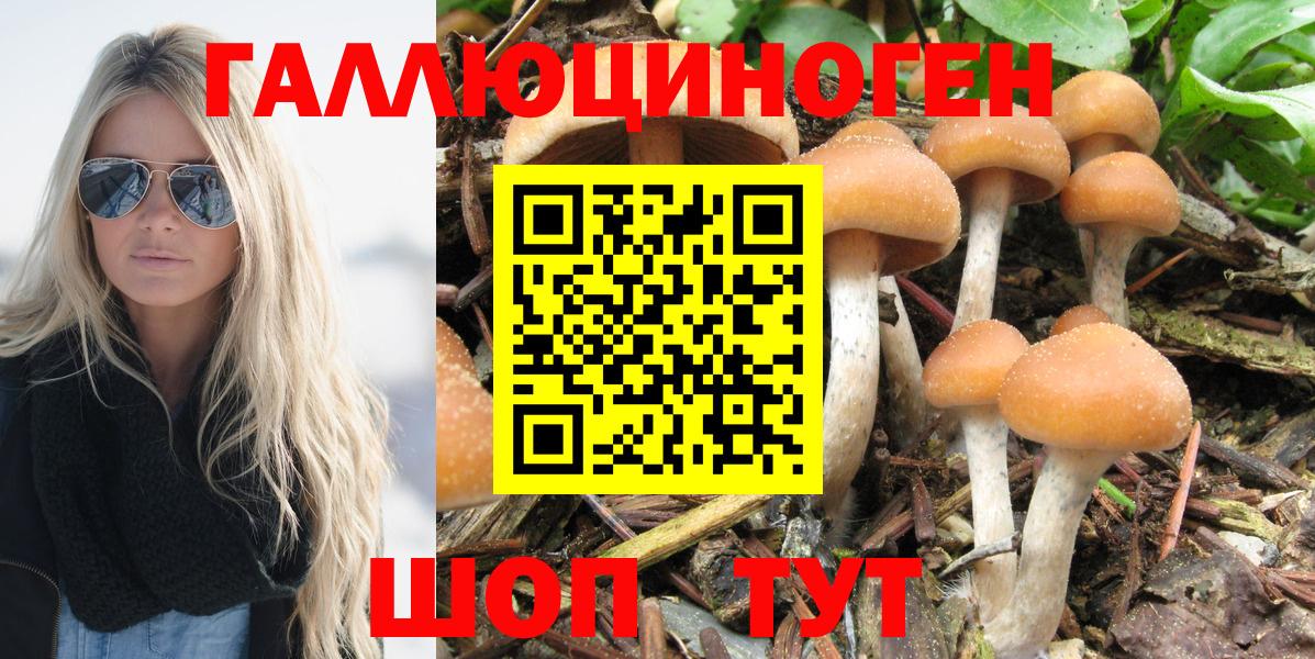 Псилоцибиновые грибы мицелий Курган